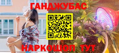 мяу мяу мука Аргун